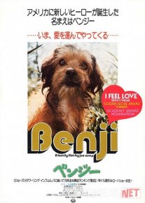 Benji Uzbek tilida 1974 O'zbekcha tarjima kino HD o‘zbek tilida tarjima kino