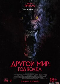 Bo'ri Yili 2024 HD Uzbek tilida Tarjima kino Skachat o‘zbek tilida tarjima kino