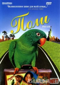 G'aroyib to'ti Polli Uzbek tilida 1998 O'zbekcha tarjima kinoHD o‘zbek tilida tarjima kino