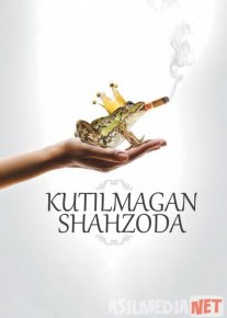 Kutilmagan Shahzoda Uzbek tilida 2013 O'zbekcha tarjima film Full HD skachat o‘zbek tilida tarjima kino