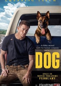 Lulu va Briggs / it / Ko'ppak/ Kuchuk Uzbek tilida 2021 O'zbekcha tarjima film Full HD skachat o‘zbek tilida tarjima kino